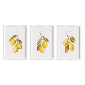 Lemon Cuttings Study, Set of 3