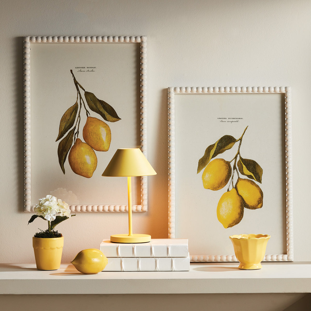 Lemon Cuttings Study, Set of 3
