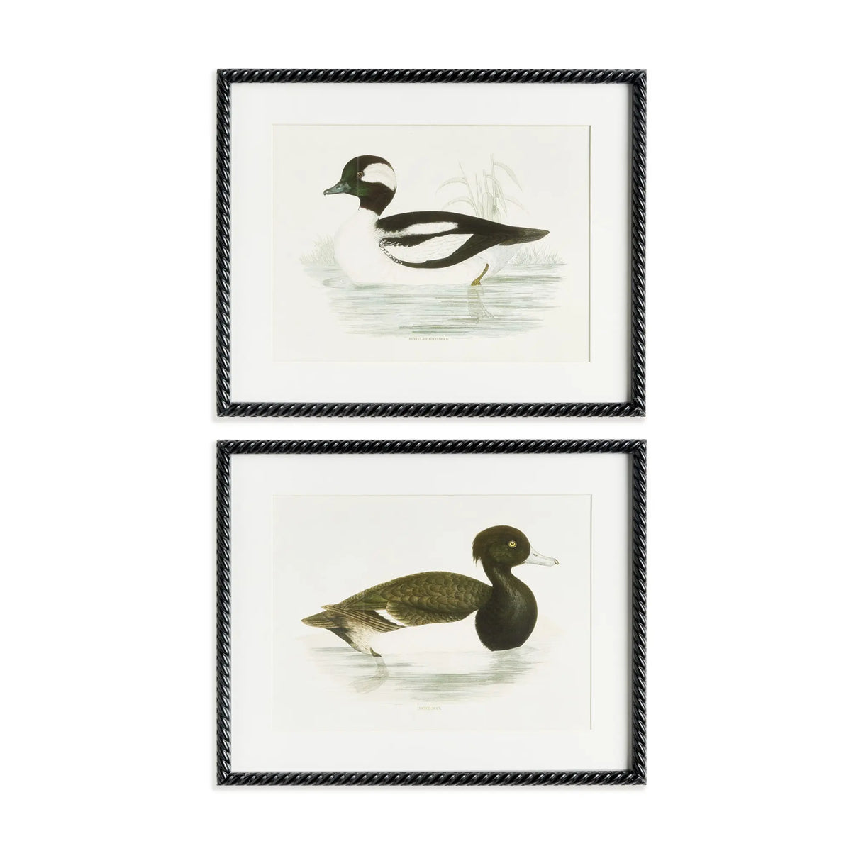 Wading Duck Prints Set of 2