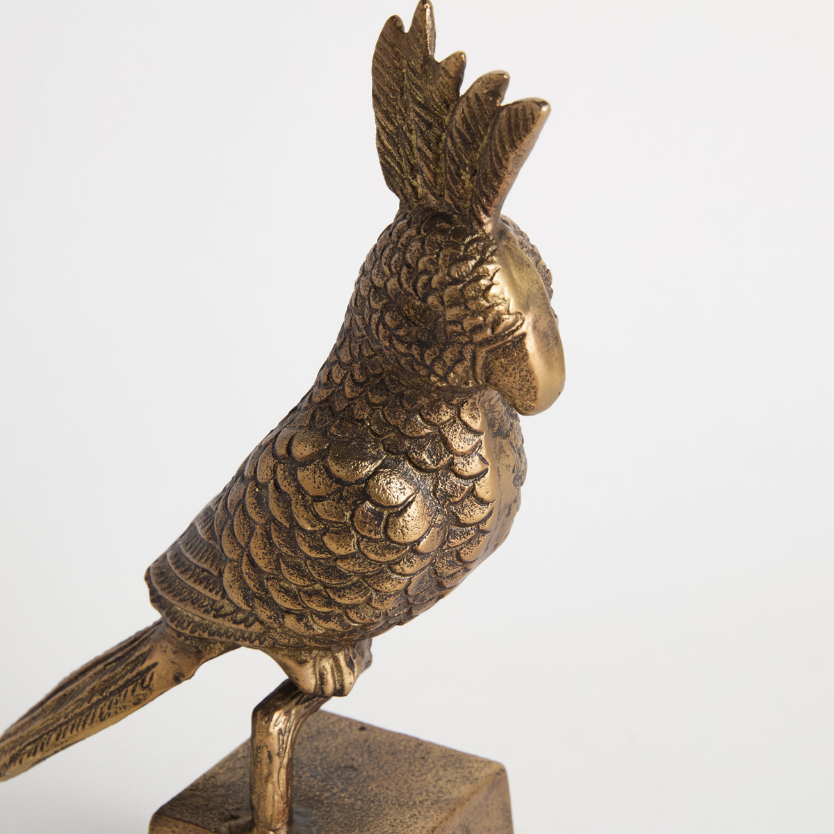 Parrot Sculpture