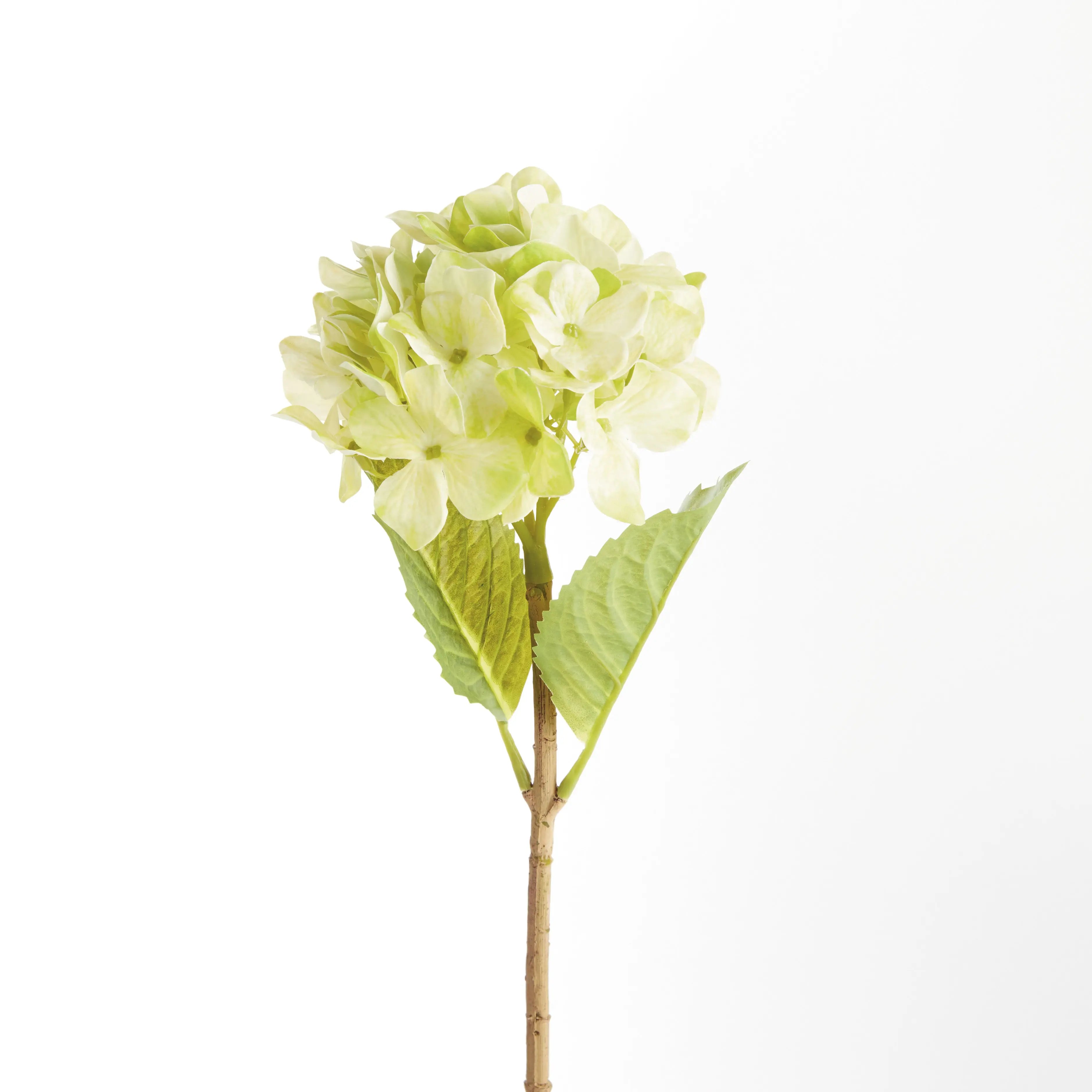 Hydrangea Stems - Set of 6 Life-Like 18" Faux Floral Stems - Villa Decor & Design