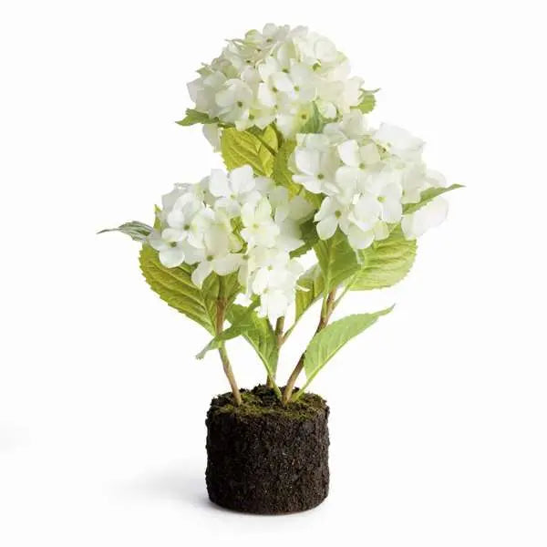 Hydrangea Drop-in 18