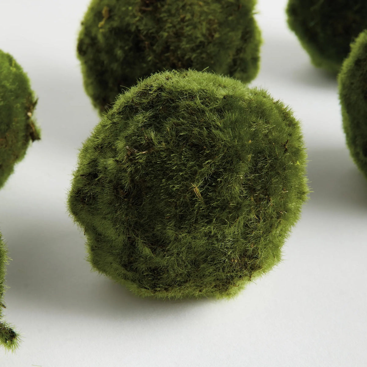 Moss Orbs 4" St/6