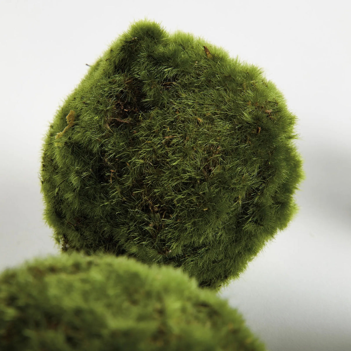 Moss Orbs 4" St/6