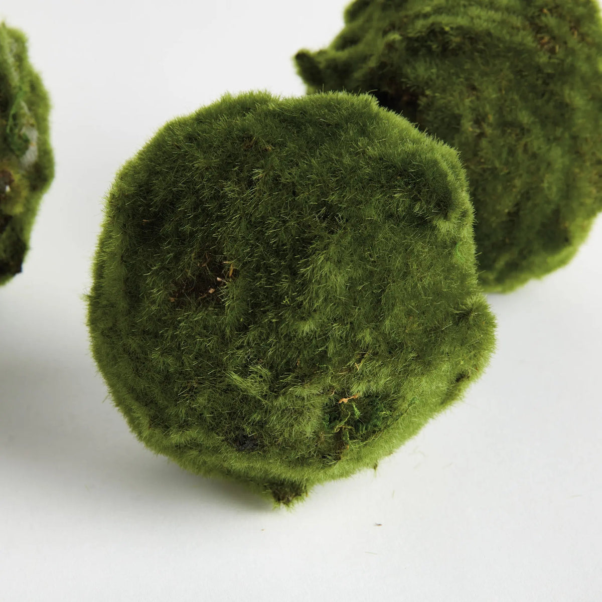 Moss Orbs 5" Set of 3