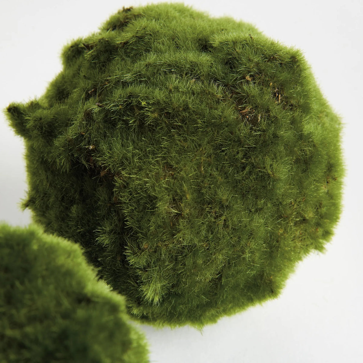 Moss Orbs 5" Set of 3