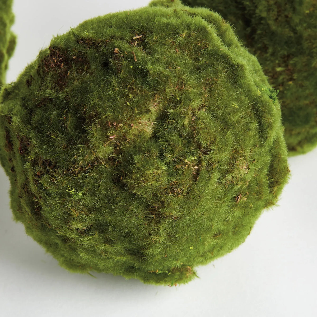 Moss Orbs 7" Set of 3