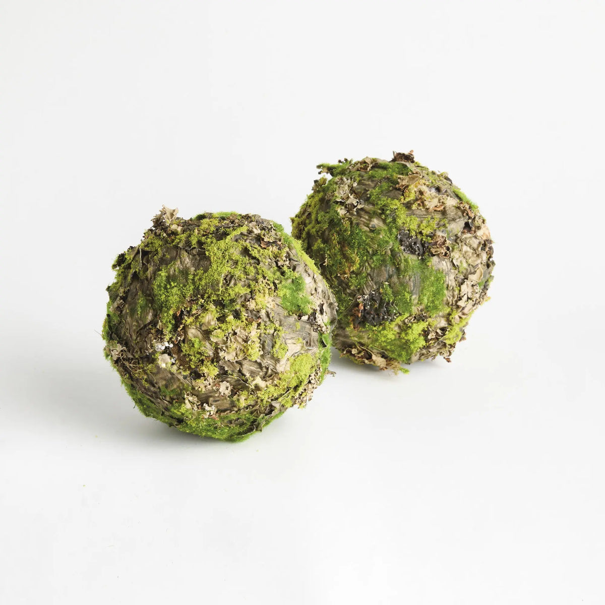 Mossy Lichen Orbs 8" Set of 2