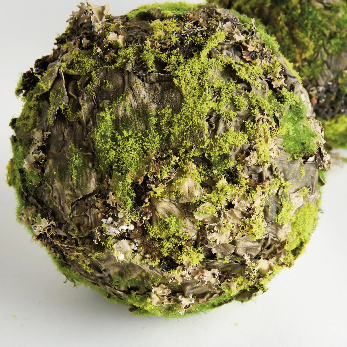 Mossy Lichen Orbs 8" Set of 2