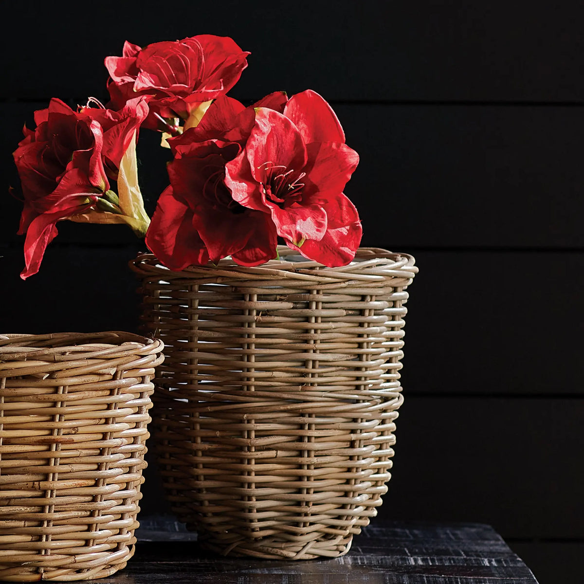 Amaryllis Stems Set of 2 – Red