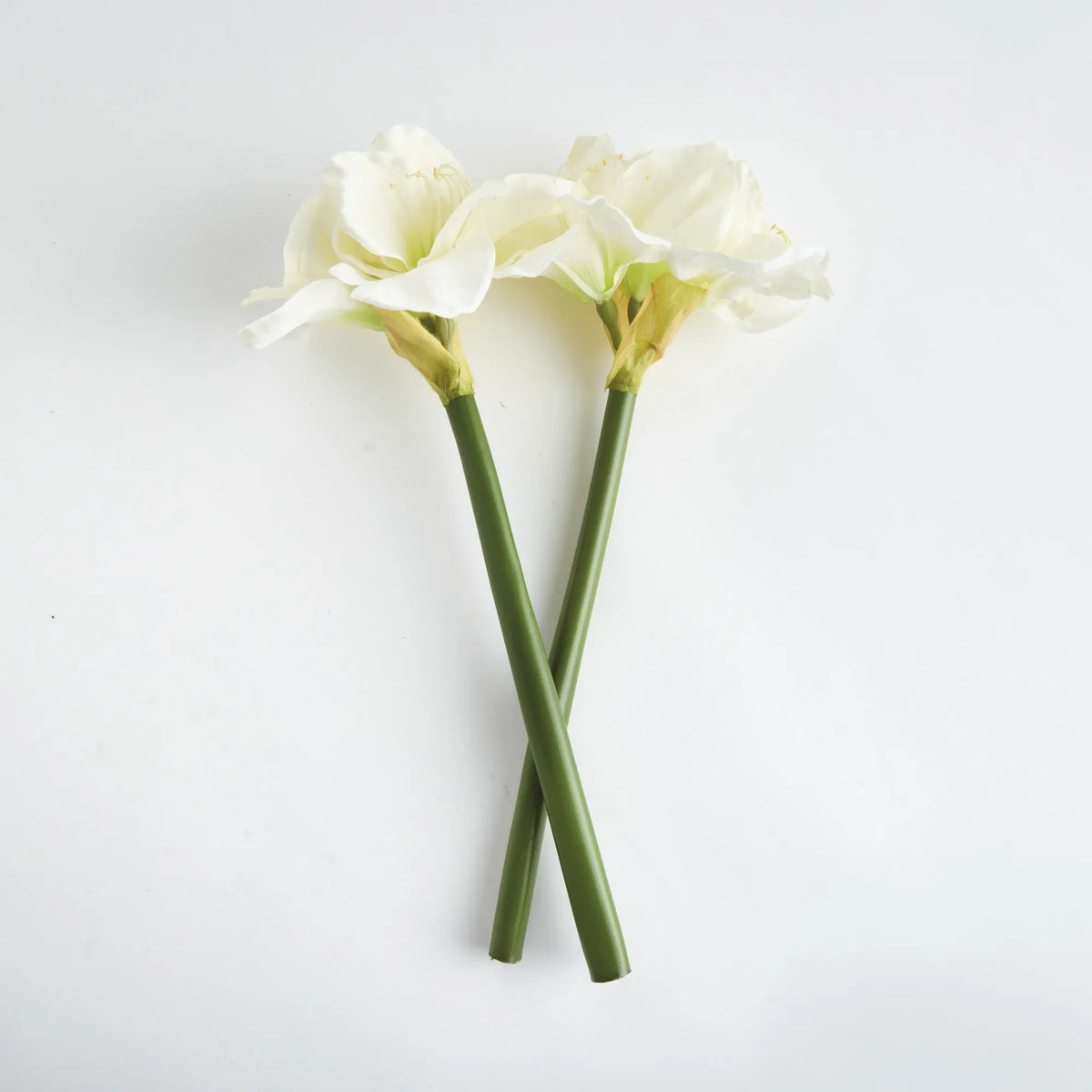Amaryllis Stems Set of 2 – White