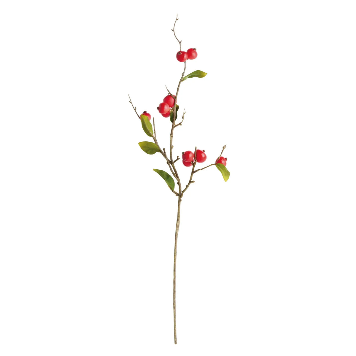Crabapple Stems St/6 – Red