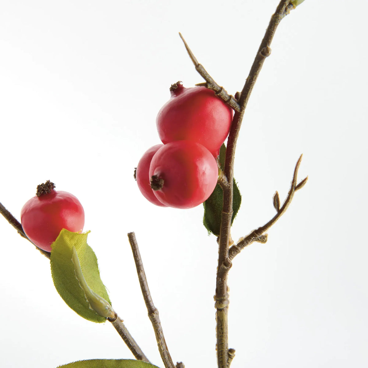 Crabapple Stems St/6 – Red