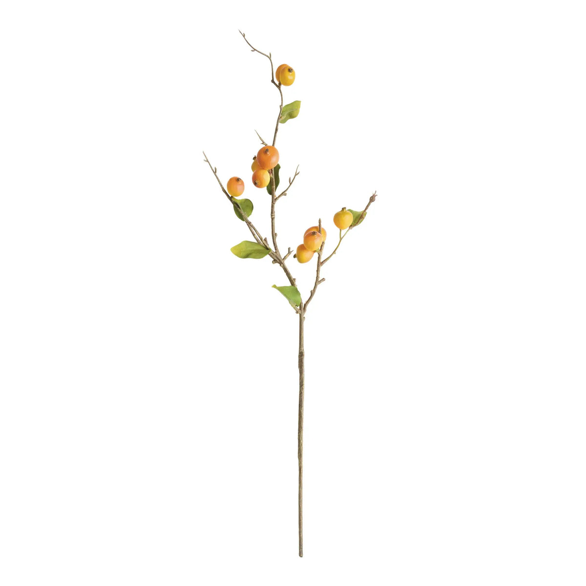 Crabapple Stems St/6 – Yellow