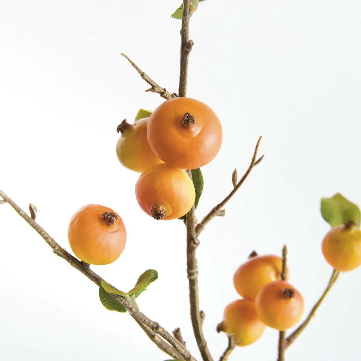 Crabapple Stems St/6 – Yellow