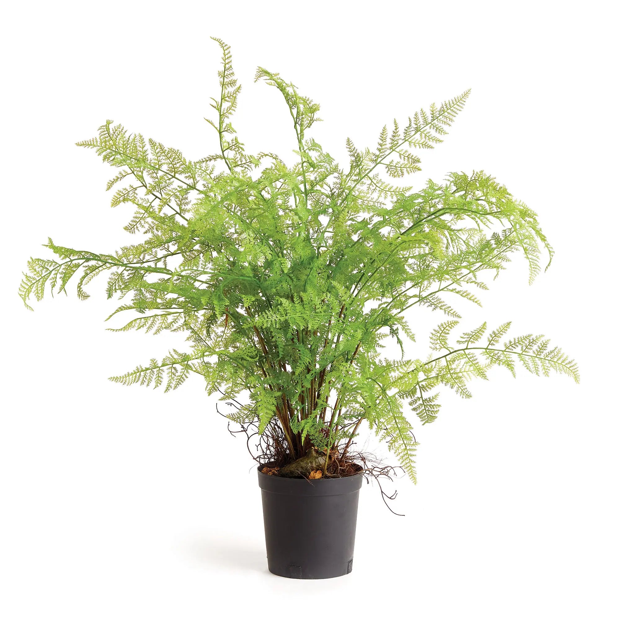 SOFT FERN DROP-IN 36" Villa Decor & Design