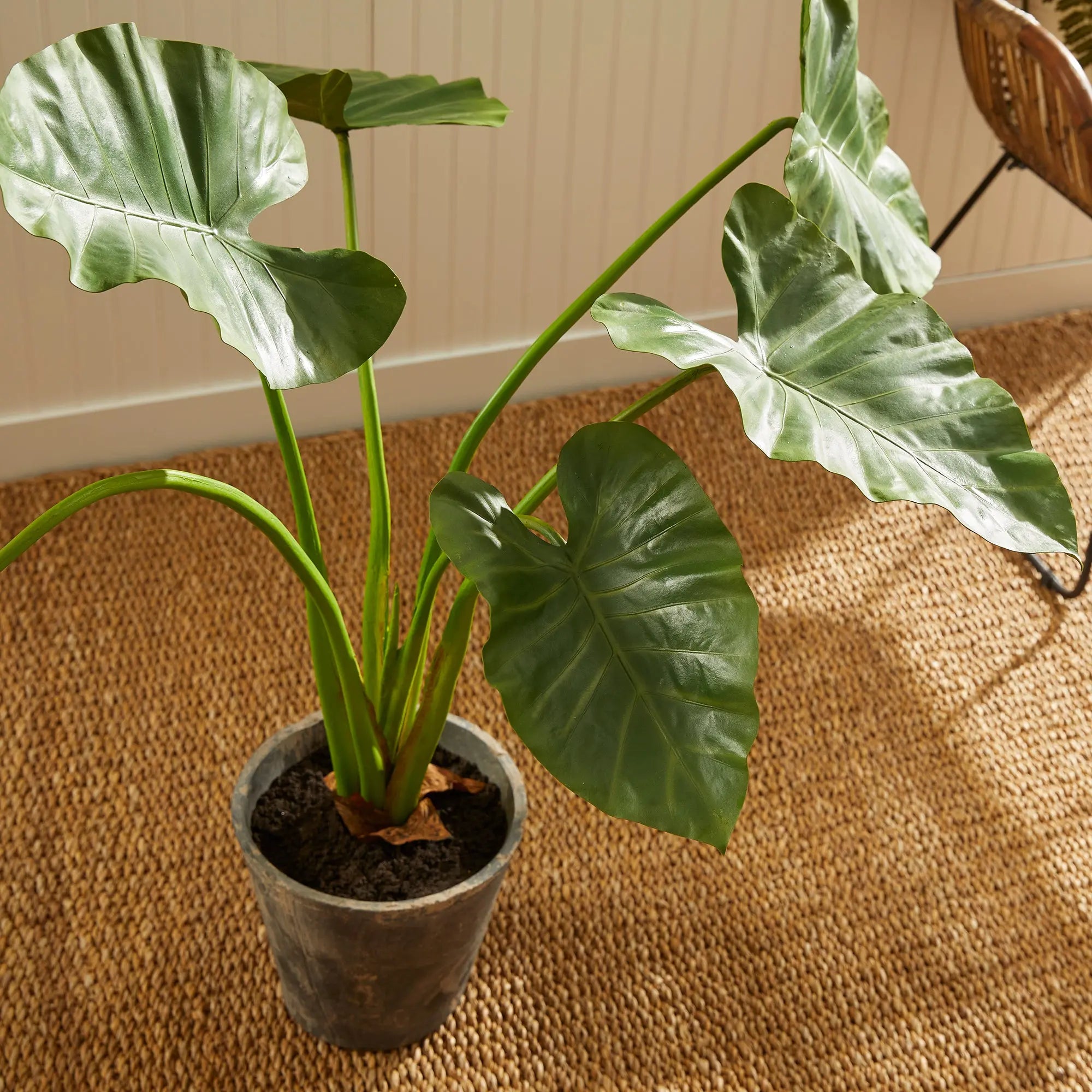 Alocasia Potted 42" - Realistic Faux Tropical Elephant Ear Plant - Villa Decor & Design