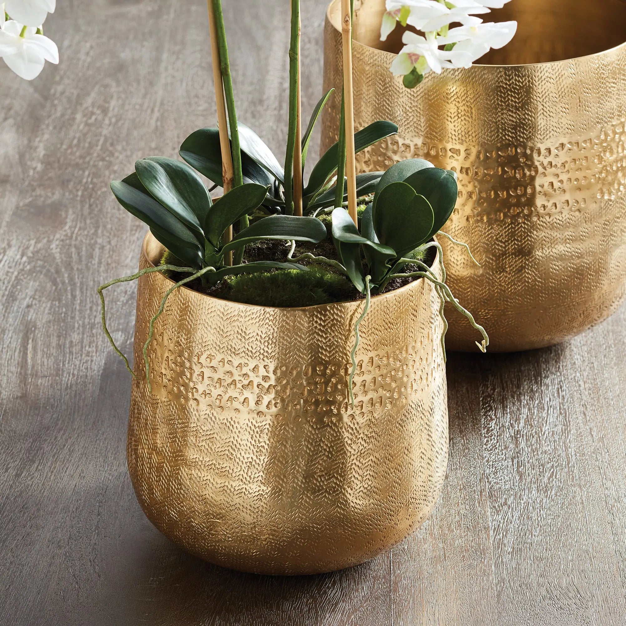EMBERLYNN CACHEPOT SMALL Villa Decor & Design