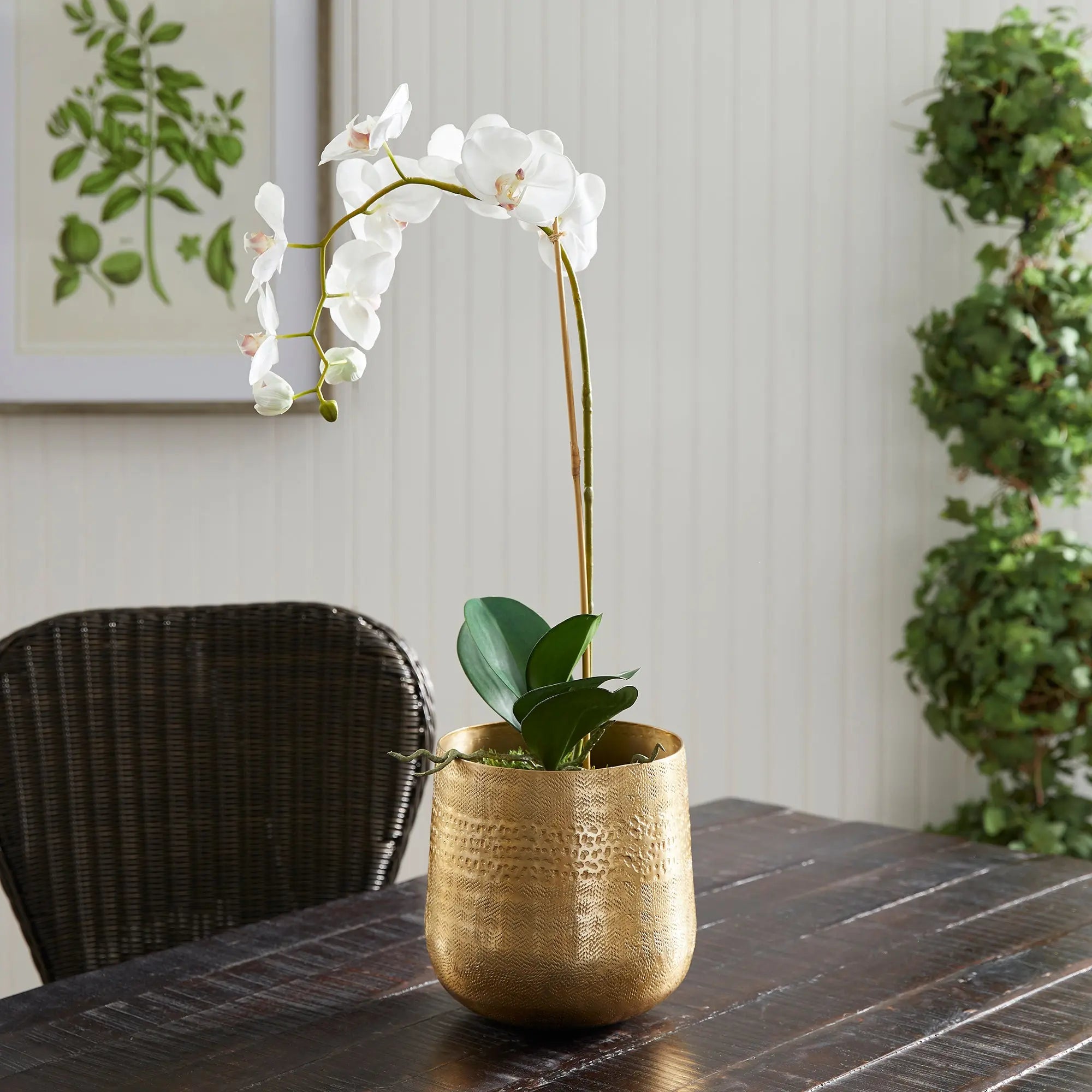 EMBERLYNN CACHEPOT SMALL Villa Decor & Design