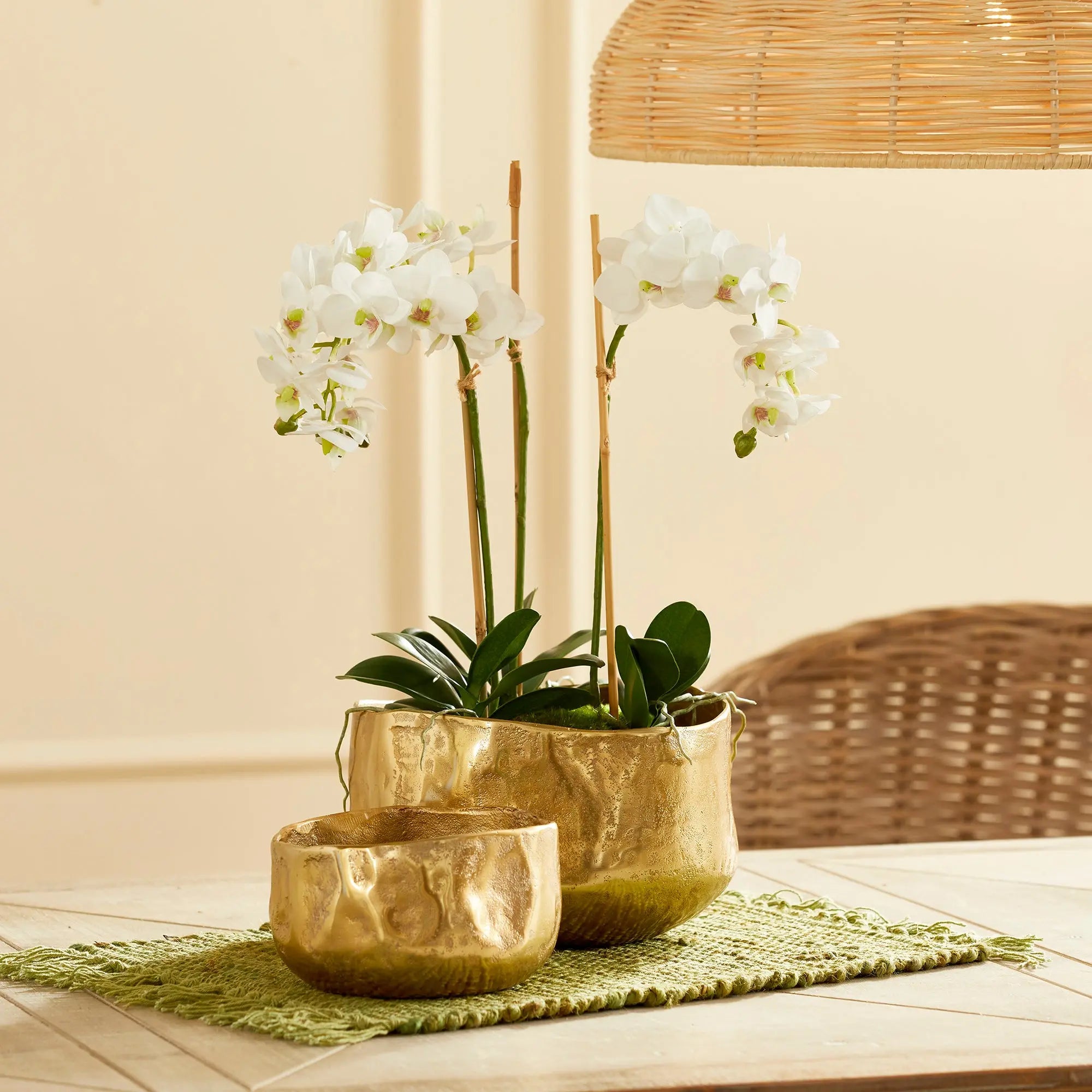 AMELIA CACHEPOTS, SET OF 2 Villa Decor & Design