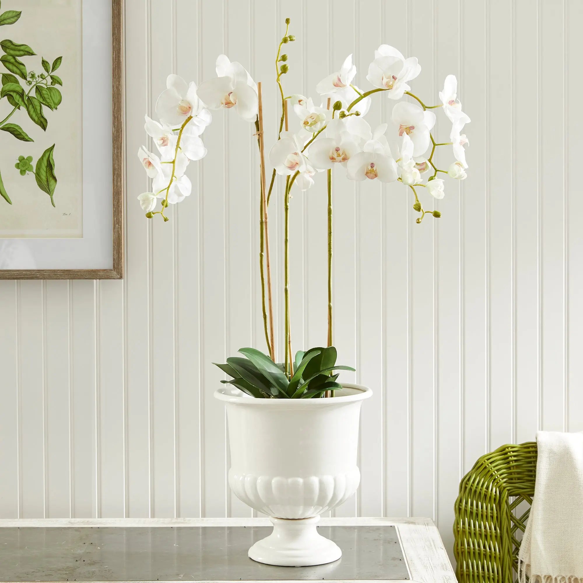 Mirabelle Decorative Pedestal Bowl in classic white clay - SMALL