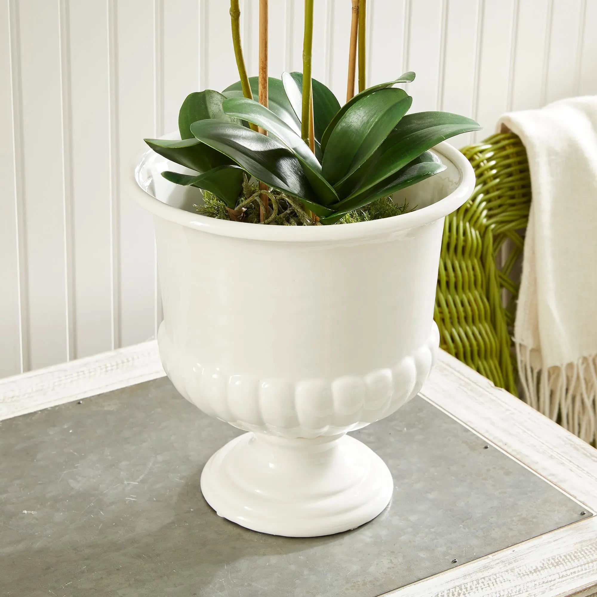 Mirabelle Decorative Pedestal Bowl in classic white clay - SMALL