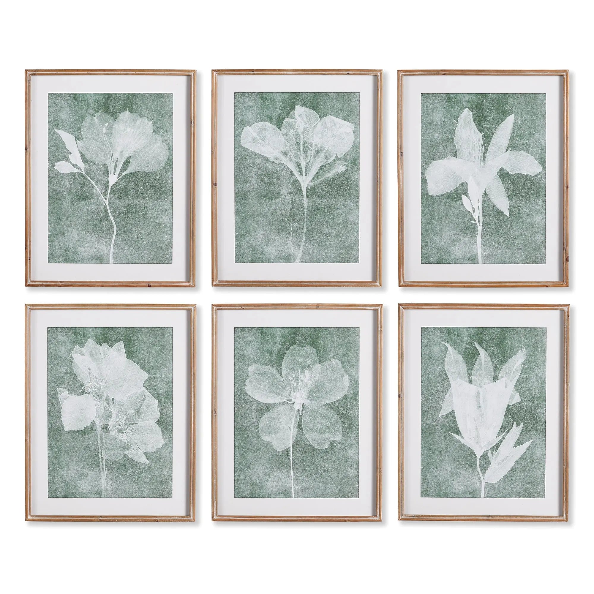 Translucent Floral Prints, SET OF 6