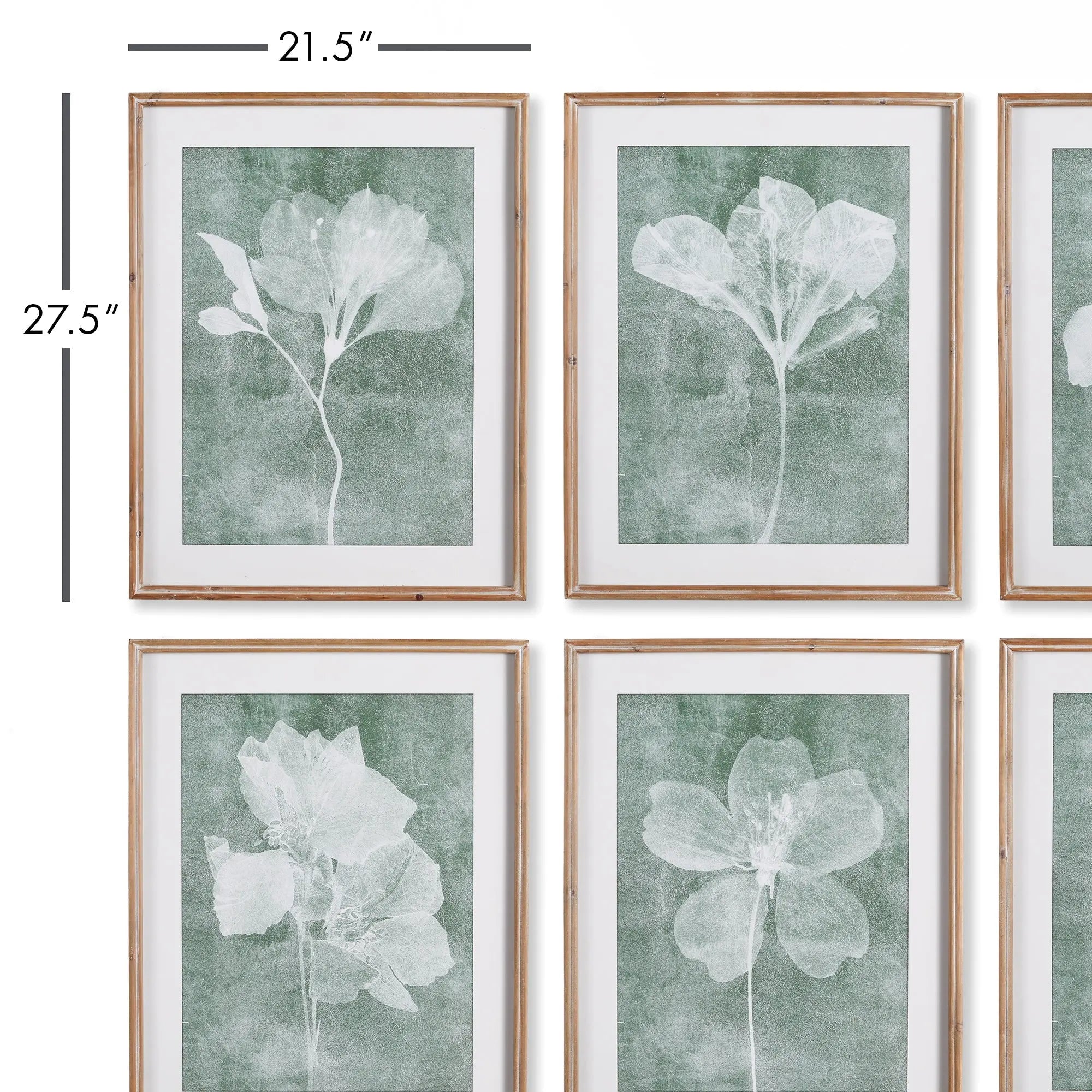 Translucent Floral Prints, SET OF 6