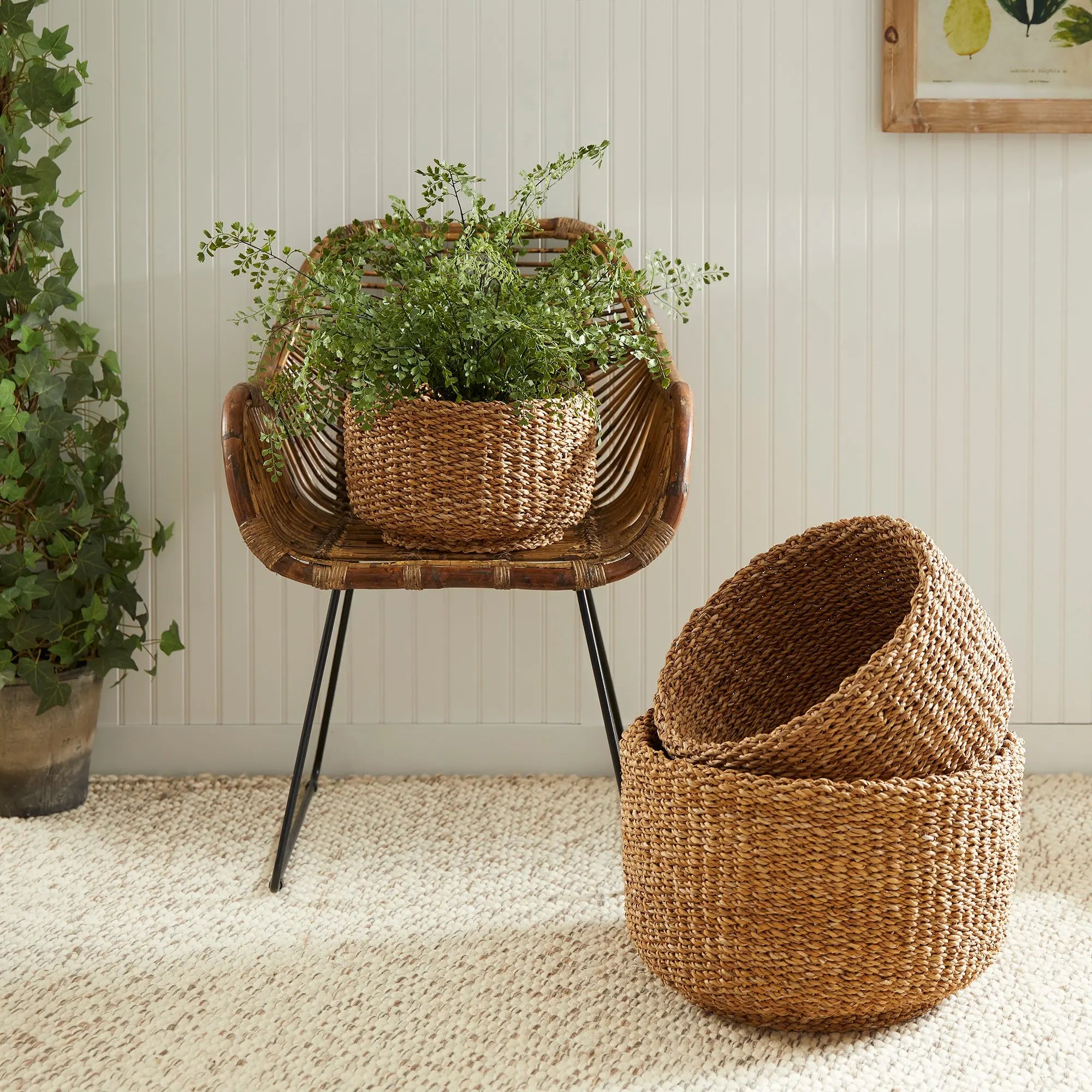 SEAGRASS CYLINDRICAL BASKETS, SET OF 3 Villa Decor & Design
