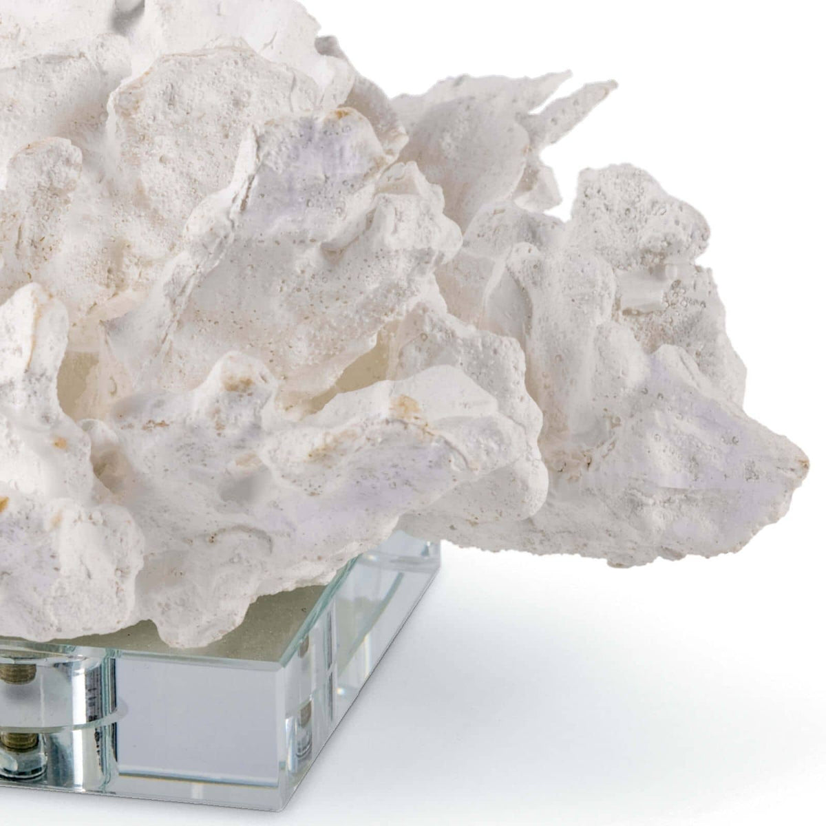 Flower Coral on Crystal Base – view 3