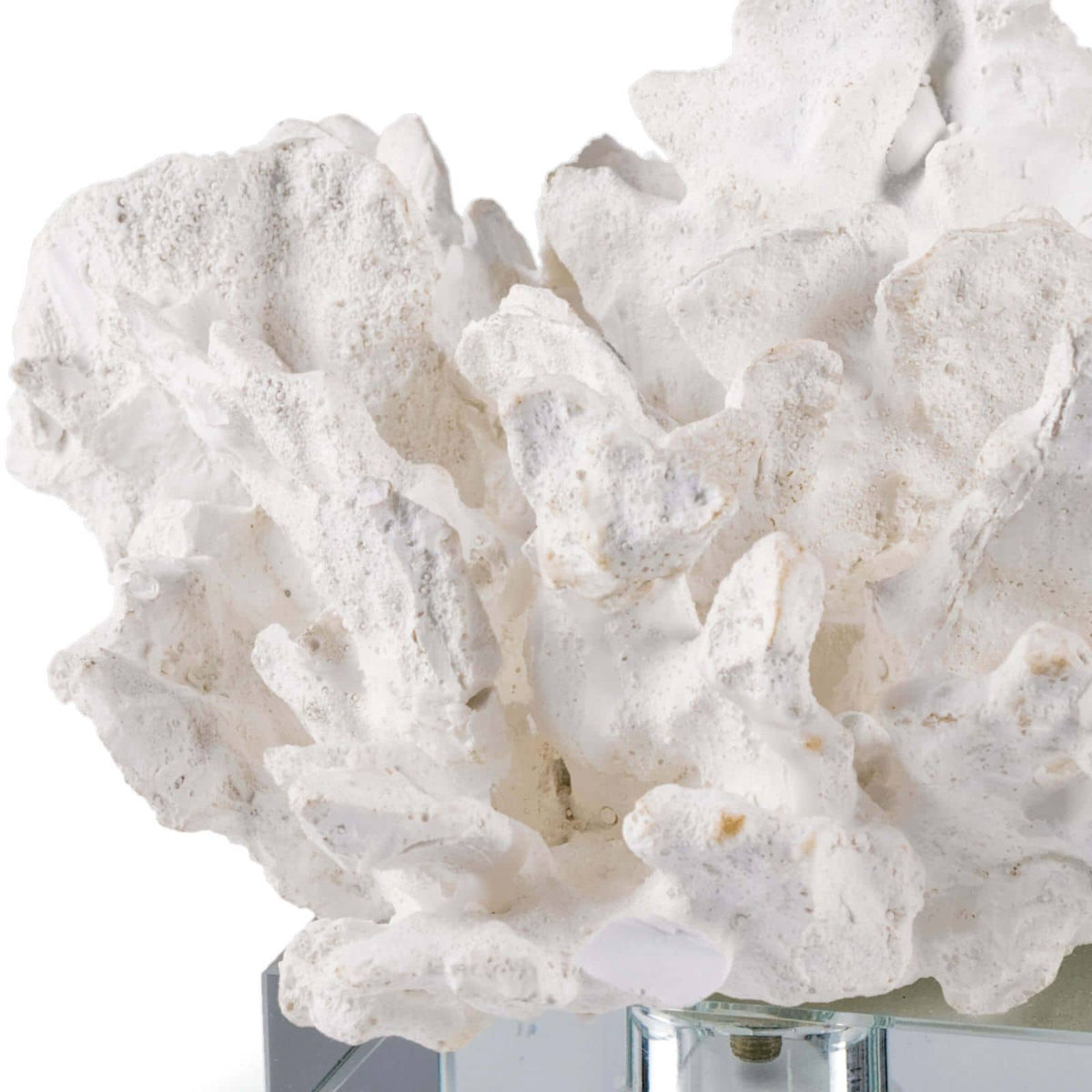 Flower Coral on Crystal Base – view 2