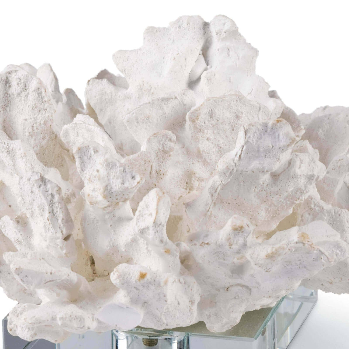 Flower Coral on Crystal Base – view 4